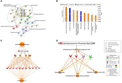 Infection of Monocytes From Tuberculosis Patients With Two Virulent Clinical Isolates of Mycobacterium tuberculosis Induces Alterations in Myeloid Effector Functions